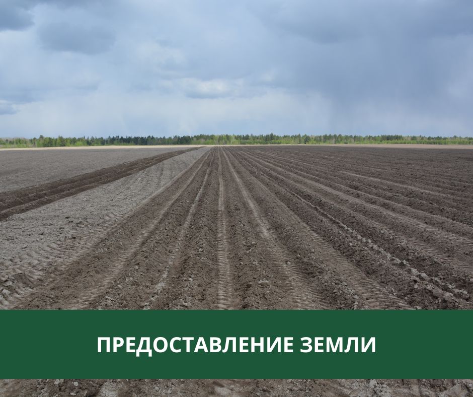 Администрация предоставляет землю в аренду.