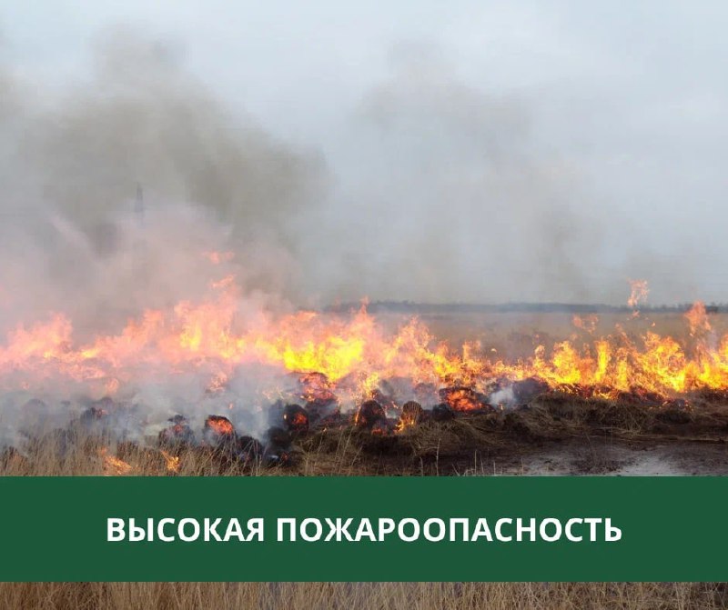 В Томской области ожидается высокая пожарная опасность.