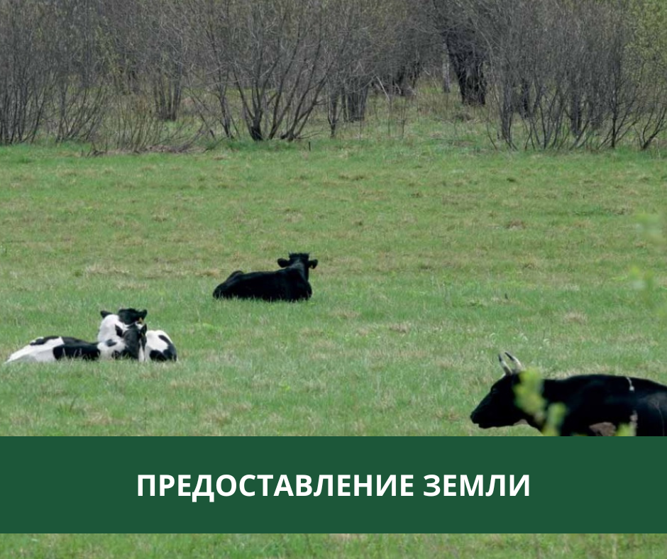 Администрация предоставляет землю в аренду.