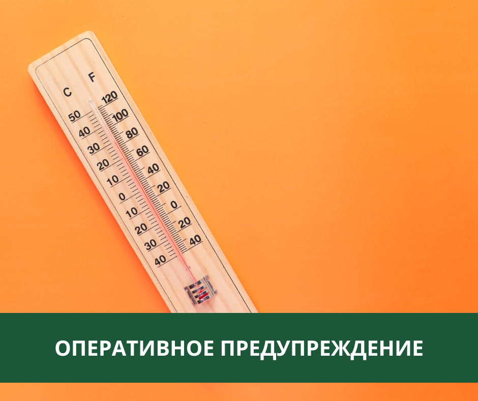 В Томском районе ожидается аномально жаркая погода и высокая пожарная опасность.