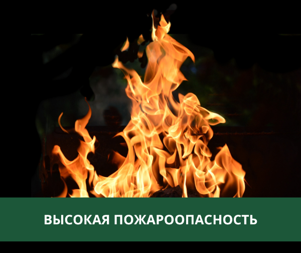 В Томском районе ожидается высокая пожарная опасность.