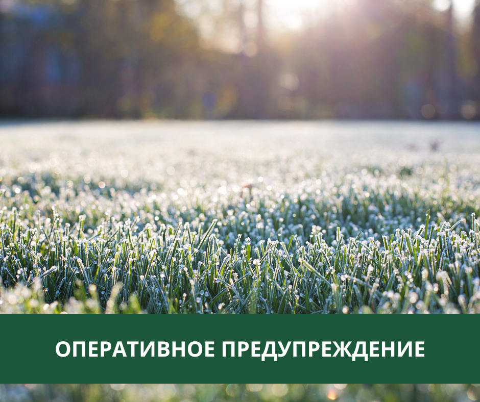 Ожидаются заморозки в Томском районе.
