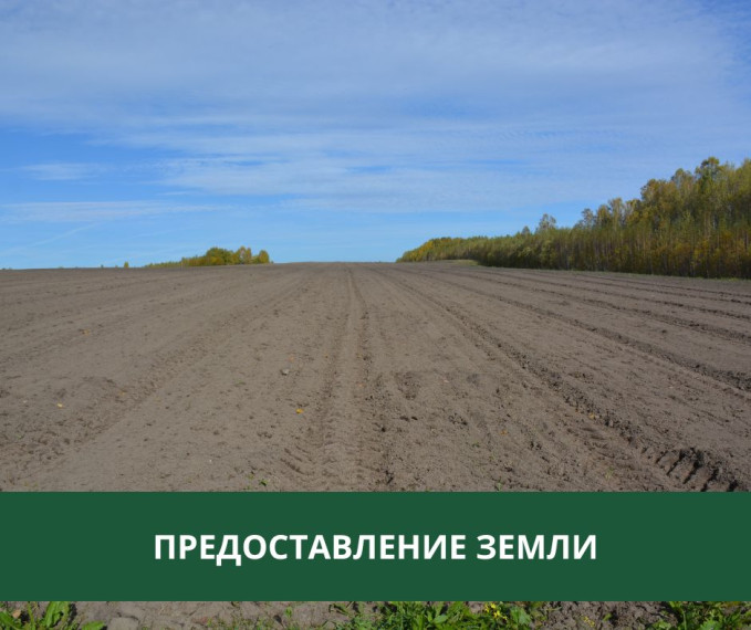 Администрация предоставляет землю в собственность. Администрация предоставляет землю в собственность.