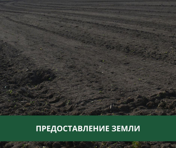 Администрация Томского района предоставляет землю в аренду. Администрация Томского района предоставляет землю в аренду.
