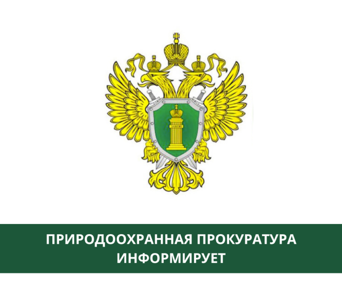 Природоохранная прокуратура объясняет как предотвратить лесной пожар и что делать в случае его обнаружения. Природоохранная прокуратура объясняет как предотвратить лесной пожар и что делать в случае его обнаружения.