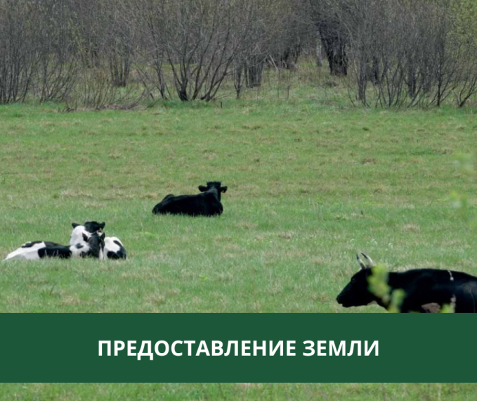 Администрация предоставляет землю в аренду. Администрация предоставляет землю в аренду.