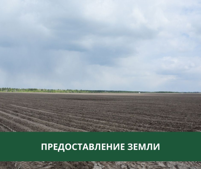 Администрация Томского района предоставляет землю в аренду. Администрация Томского района предоставляет землю в аренду.
